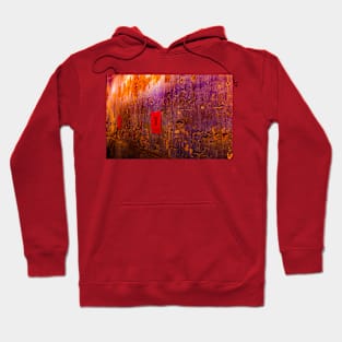 Chinese script hanging on a wall B Hoodie